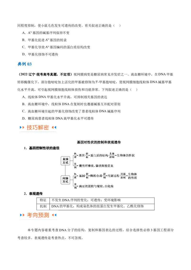 专题05遗传的分子基础（讲义）（原卷版）_新高考复习资料_2024年新高考复习资料_二轮复习资料_高频考点解密2024年高考生物二轮复习高频考点追踪与预测（新高考专用）_讲义