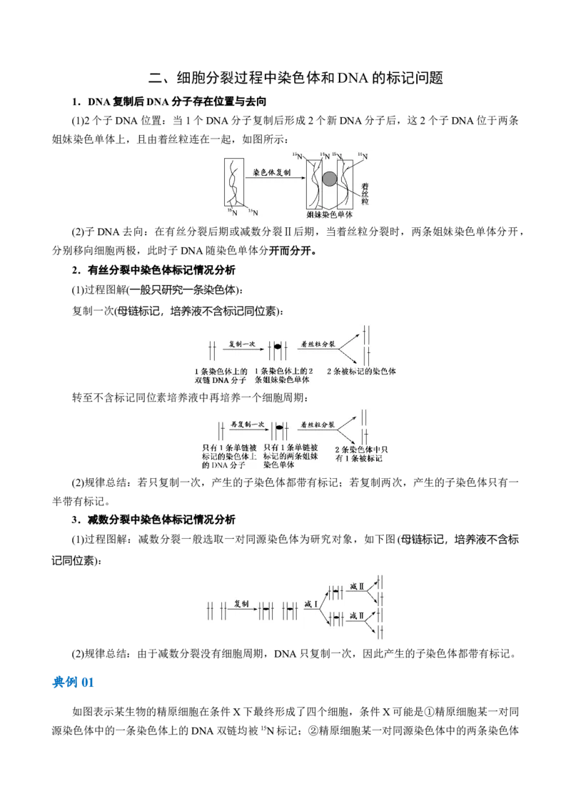 专题05遗传的分子基础（讲义）（原卷版）_新高考复习资料_2024年新高考复习资料_二轮复习资料_高频考点解密2024年高考生物二轮复习高频考点追踪与预测（新高考专用）_讲义