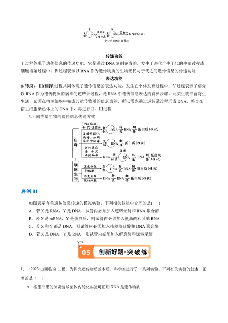 专题05遗传的分子基础（讲义）（原卷版）_新高考复习资料_2024年新高考复习资料_二轮复习资料_高频考点解密2024年高考生物二轮复习高频考点追踪与预测（新高考专用）_讲义