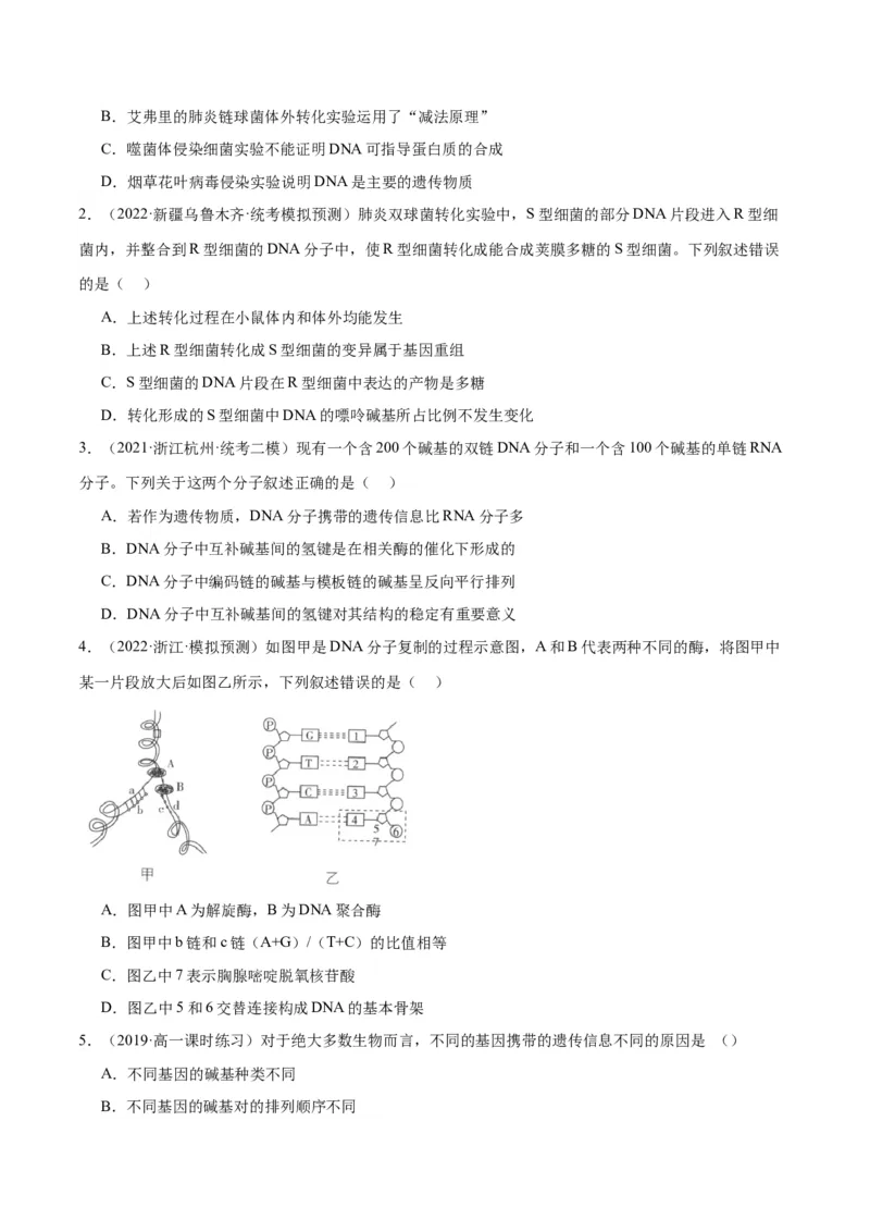 专题05遗传的分子基础（讲义）（原卷版）_新高考复习资料_2024年新高考复习资料_二轮复习资料_高频考点解密2024年高考生物二轮复习高频考点追踪与预测（新高考专用）_讲义