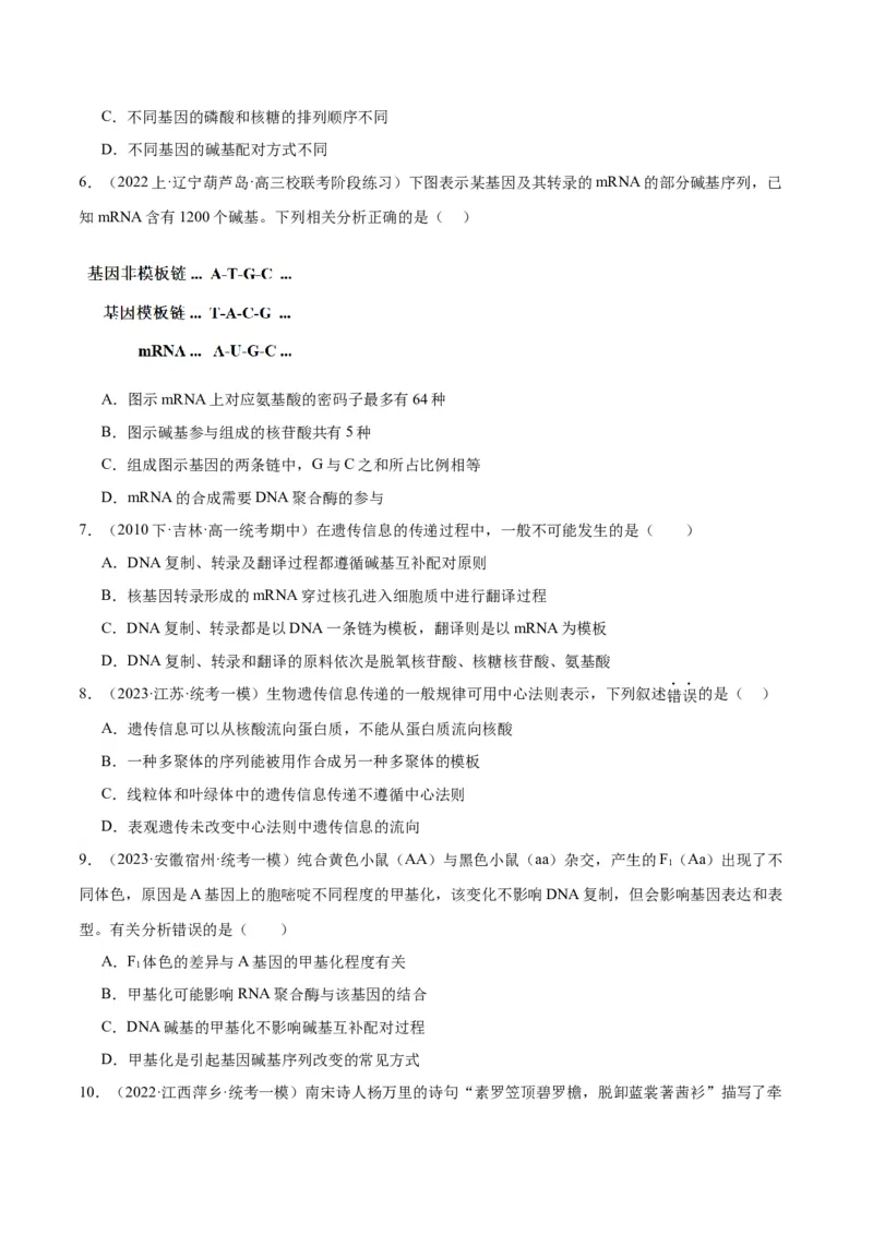 专题05遗传的分子基础（讲义）（原卷版）_新高考复习资料_2024年新高考复习资料_二轮复习资料_高频考点解密2024年高考生物二轮复习高频考点追踪与预测（新高考专用）_讲义