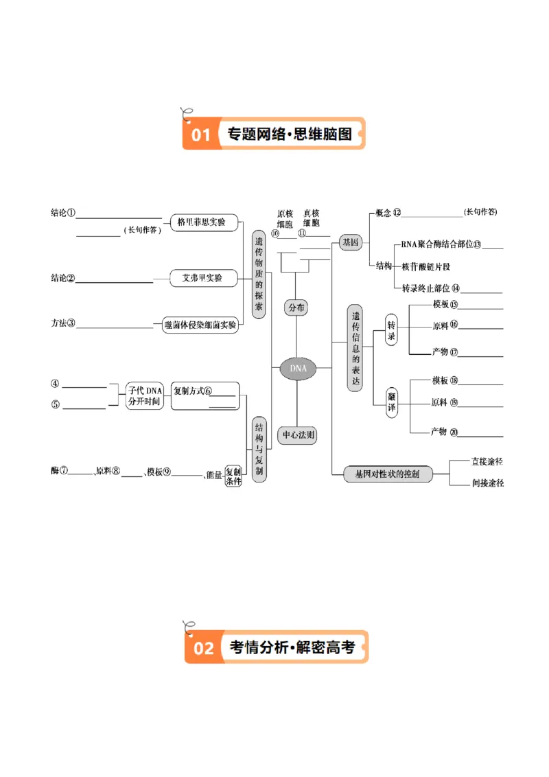 专题05遗传的分子基础（讲义）（原卷版）_新高考复习资料_2024年新高考复习资料_二轮复习资料_高频考点解密2024年高考生物二轮复习高频考点追踪与预测（新高考专用）_讲义