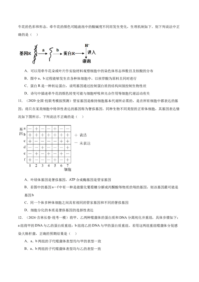 专题05遗传的分子基础（讲义）（原卷版）_新高考复习资料_2024年新高考复习资料_二轮复习资料_高频考点解密2024年高考生物二轮复习高频考点追踪与预测（新高考专用）_讲义