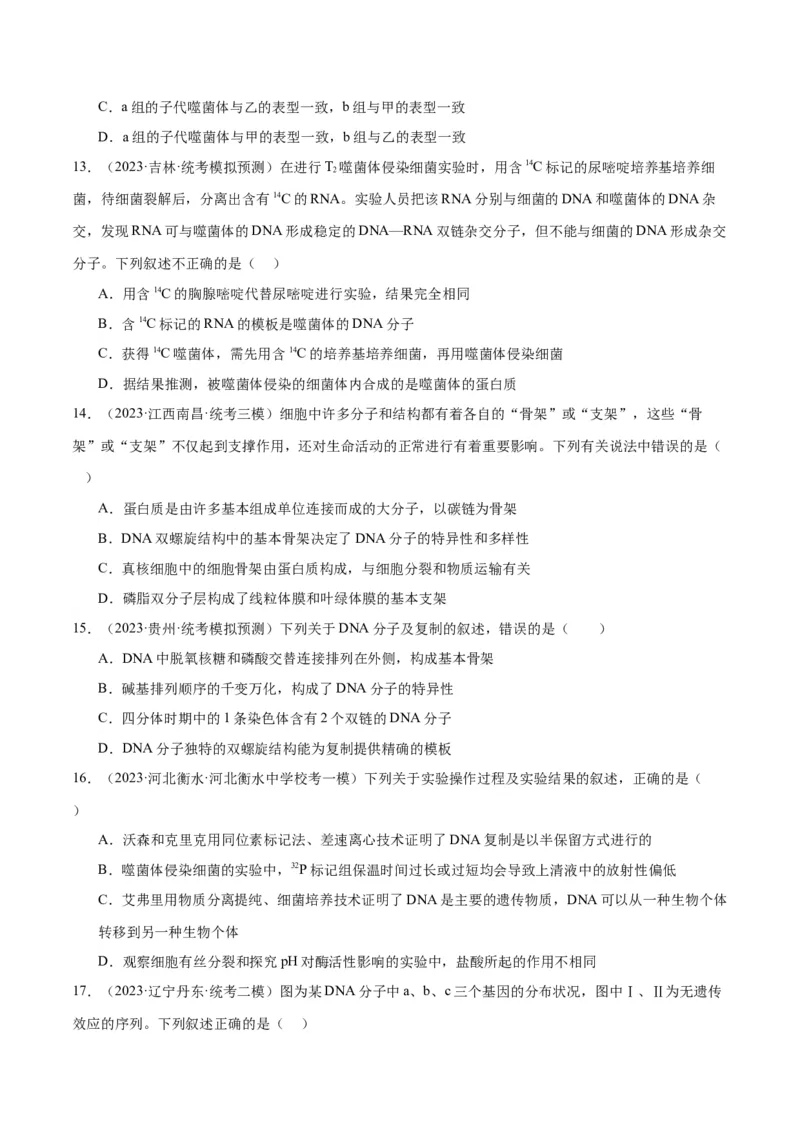 专题05遗传的分子基础（讲义）（原卷版）_新高考复习资料_2024年新高考复习资料_二轮复习资料_高频考点解密2024年高考生物二轮复习高频考点追踪与预测（新高考专用）_讲义