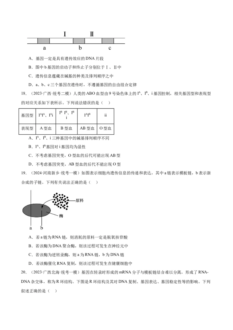 专题05遗传的分子基础（讲义）（原卷版）_新高考复习资料_2024年新高考复习资料_二轮复习资料_高频考点解密2024年高考生物二轮复习高频考点追踪与预测（新高考专用）_讲义