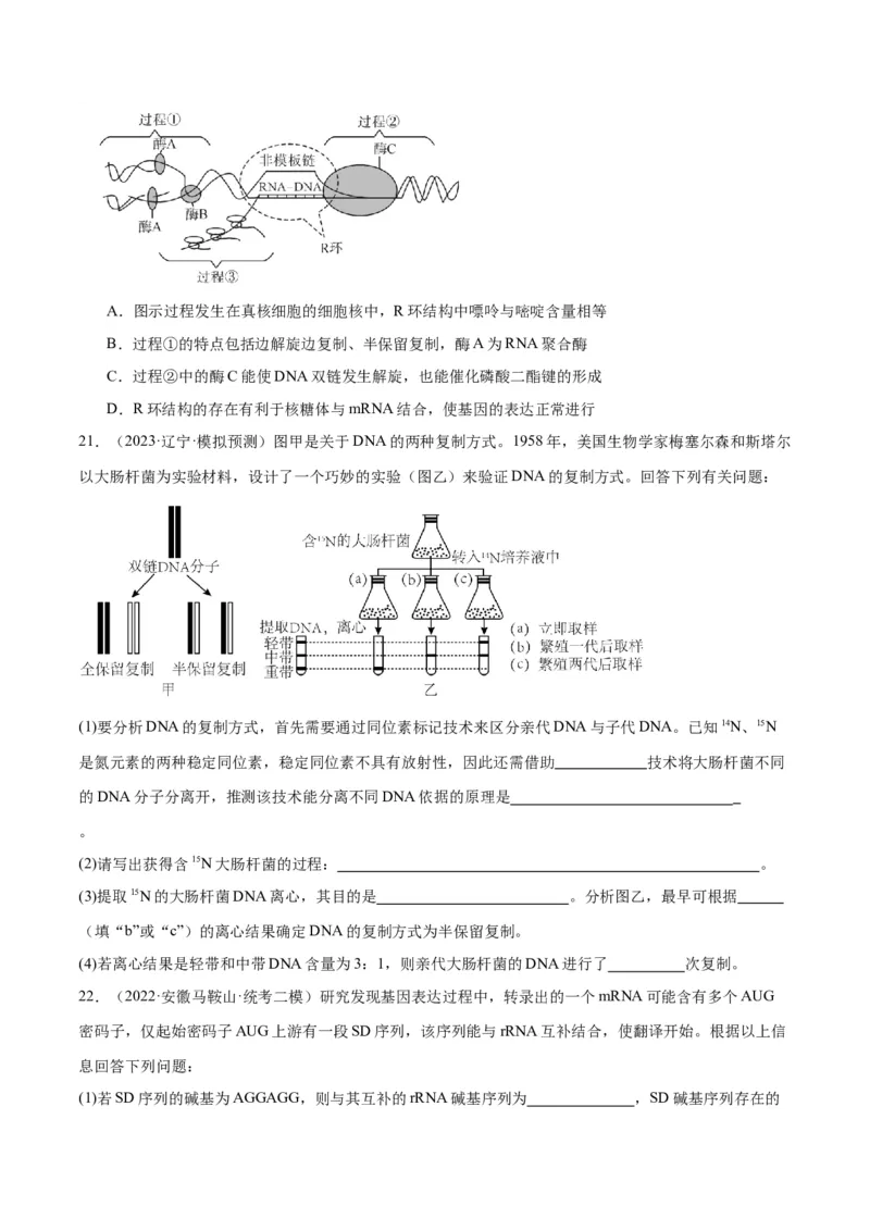 专题05遗传的分子基础（讲义）（原卷版）_新高考复习资料_2024年新高考复习资料_二轮复习资料_高频考点解密2024年高考生物二轮复习高频考点追踪与预测（新高考专用）_讲义