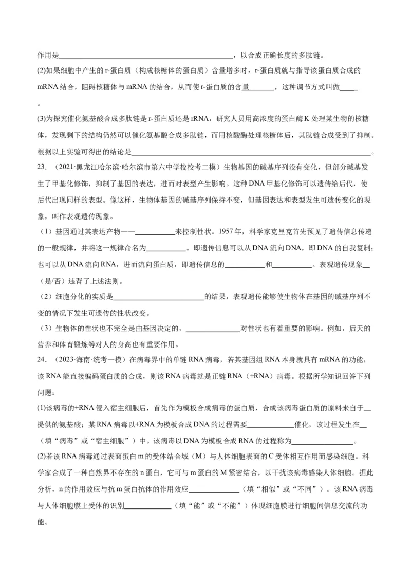 专题05遗传的分子基础（讲义）（原卷版）_新高考复习资料_2024年新高考复习资料_二轮复习资料_高频考点解密2024年高考生物二轮复习高频考点追踪与预测（新高考专用）_讲义