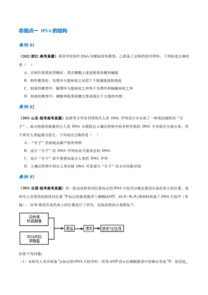 专题05遗传的分子基础（讲义）（原卷版）_新高考复习资料_2024年新高考复习资料_二轮复习资料_高频考点解密2024年高考生物二轮复习高频考点追踪与预测（新高考专用）_讲义