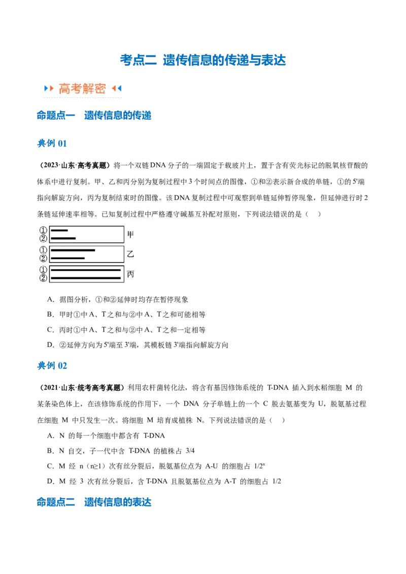 专题05遗传的分子基础（讲义）（原卷版）_新高考复习资料_2024年新高考复习资料_二轮复习资料_高频考点解密2024年高考生物二轮复习高频考点追踪与预测（新高考专用）_讲义