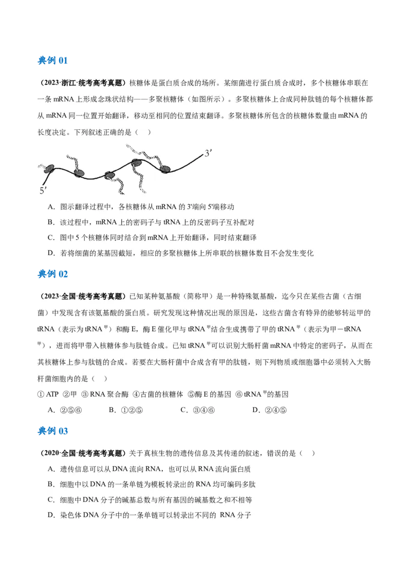 专题05遗传的分子基础（讲义）（原卷版）_新高考复习资料_2024年新高考复习资料_二轮复习资料_高频考点解密2024年高考生物二轮复习高频考点追踪与预测（新高考专用）_讲义