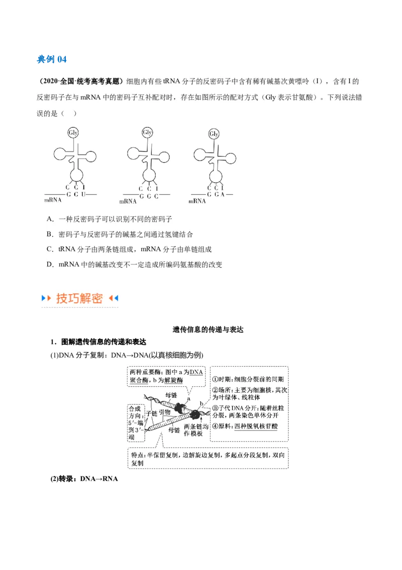 专题05遗传的分子基础（讲义）（原卷版）_新高考复习资料_2024年新高考复习资料_二轮复习资料_高频考点解密2024年高考生物二轮复习高频考点追踪与预测（新高考专用）_讲义