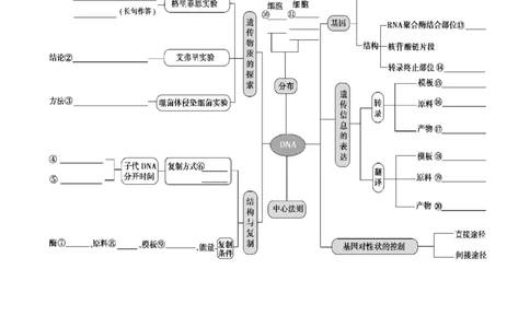 专题05遗传的分子基础（讲义）（原卷版）_新高考复习资料_2024年新高考复习资料_二轮复习资料_高频考点解密2024年高考生物二轮复习高频考点追踪与预测（新高考专用）_讲义