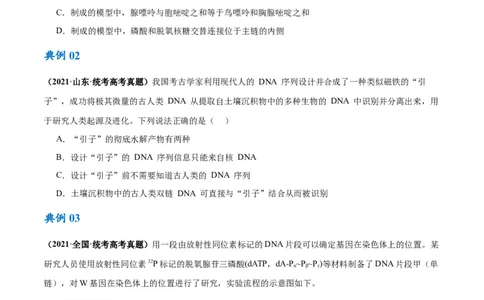 专题05遗传的分子基础（讲义）（原卷版）_新高考复习资料_2024年新高考复习资料_二轮复习资料_高频考点解密2024年高考生物二轮复习高频考点追踪与预测（新高考专用）_讲义