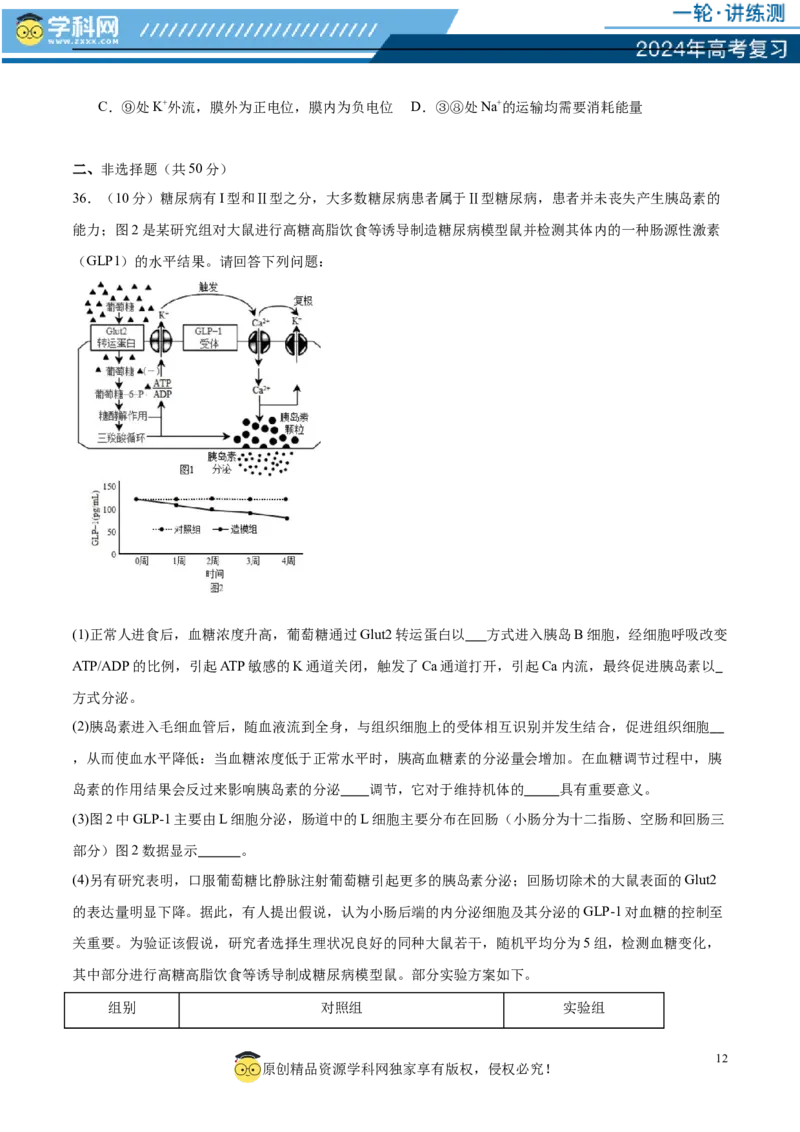 第八单元稳态与调节（测试）（原卷版）_2024年新高考资料_1.2024一轮复习_2024年高考生物一轮复习讲练测（新教材新高考）