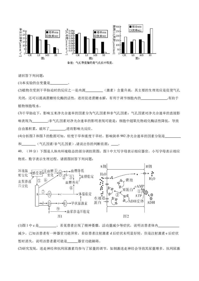 第八单元稳态与调节（测试）（原卷版）_2024年新高考资料_1.2024一轮复习_2024年高考生物一轮复习讲练测（新教材新高考）