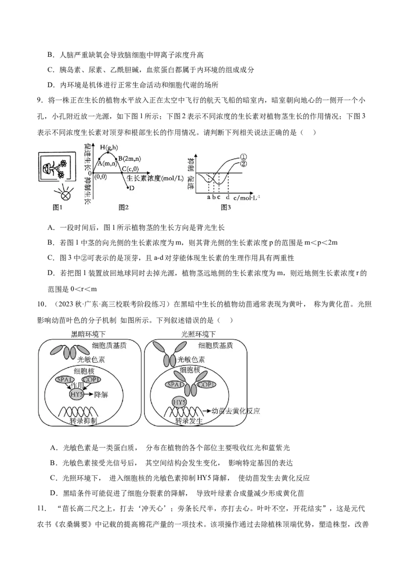 第八单元稳态与调节（测试）（原卷版）_2024年新高考资料_1.2024一轮复习_2024年高考生物一轮复习讲练测（新教材新高考）