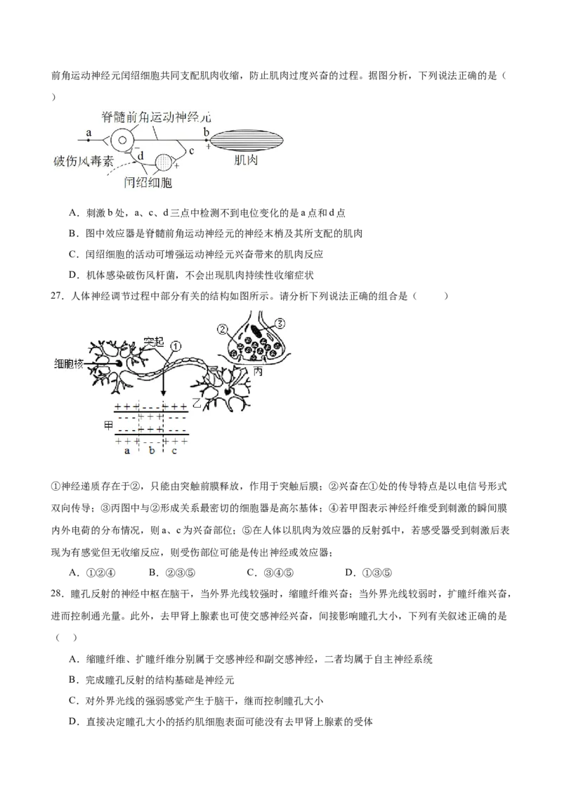 第八单元稳态与调节（测试）（原卷版）_2024年新高考资料_1.2024一轮复习_2024年高考生物一轮复习讲练测（新教材新高考）