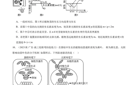 第八单元稳态与调节（测试）（原卷版）_2024年新高考资料_1.2024一轮复习_2024年高考生物一轮复习讲练测（新教材新高考）