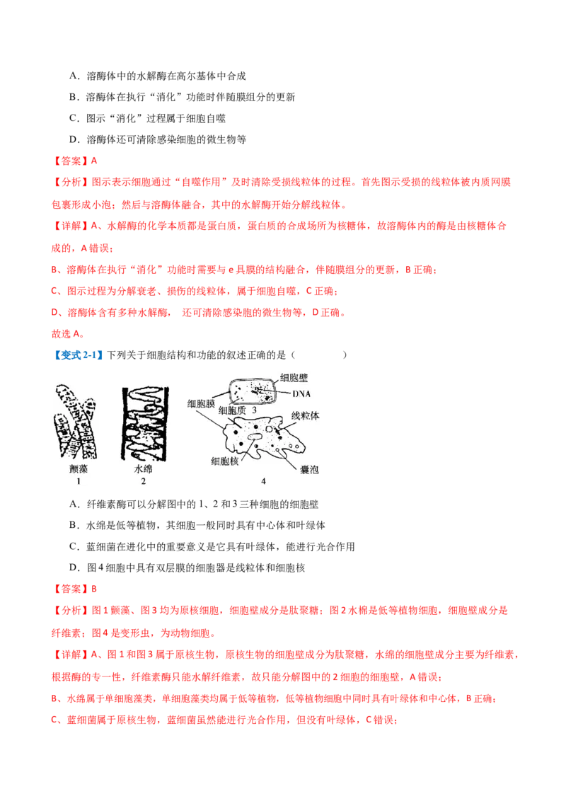 专题02细胞的基本结构（9大题型）（解析版）_2025年新高考资料_一轮复习_备战2025年高考生物一轮复习题型全覆盖（新高考通用）