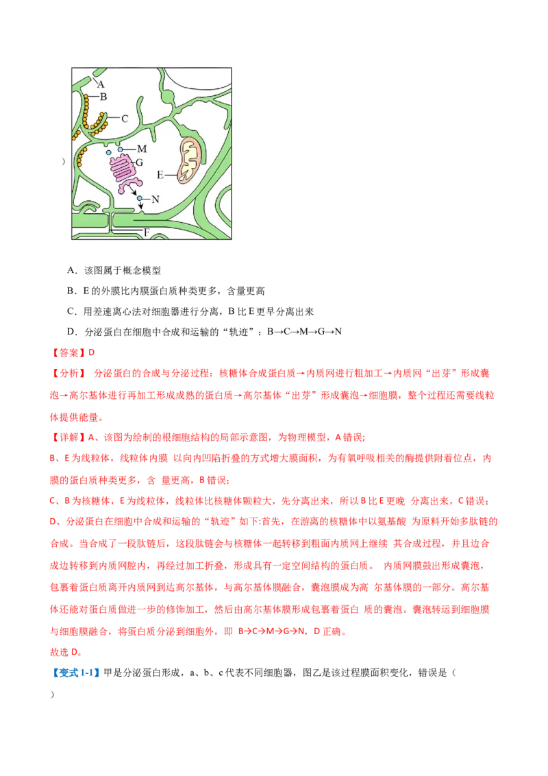 专题02细胞的基本结构（9大题型）（解析版）_2025年新高考资料_一轮复习_备战2025年高考生物一轮复习题型全覆盖（新高考通用）
