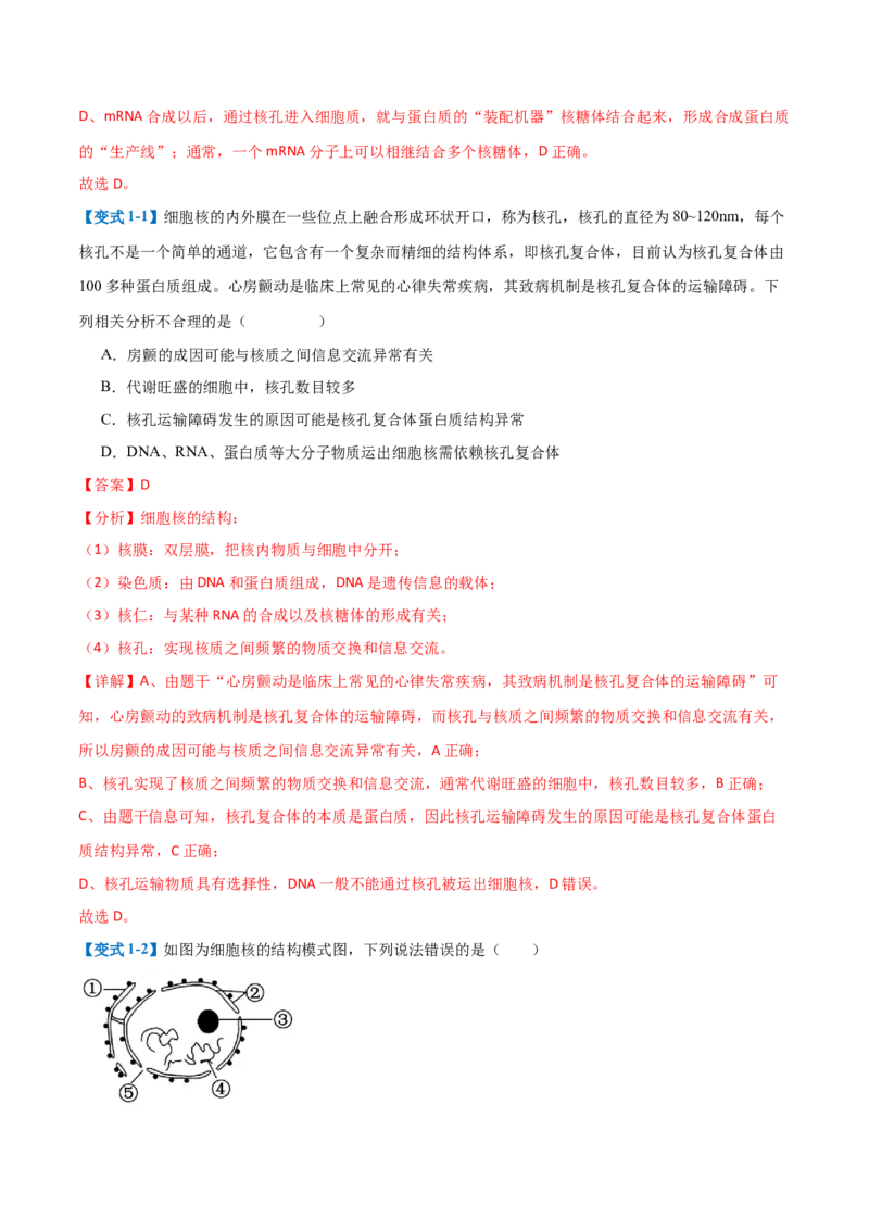 专题02细胞的基本结构（9大题型）（解析版）_2025年新高考资料_一轮复习_备战2025年高考生物一轮复习题型全覆盖（新高考通用）