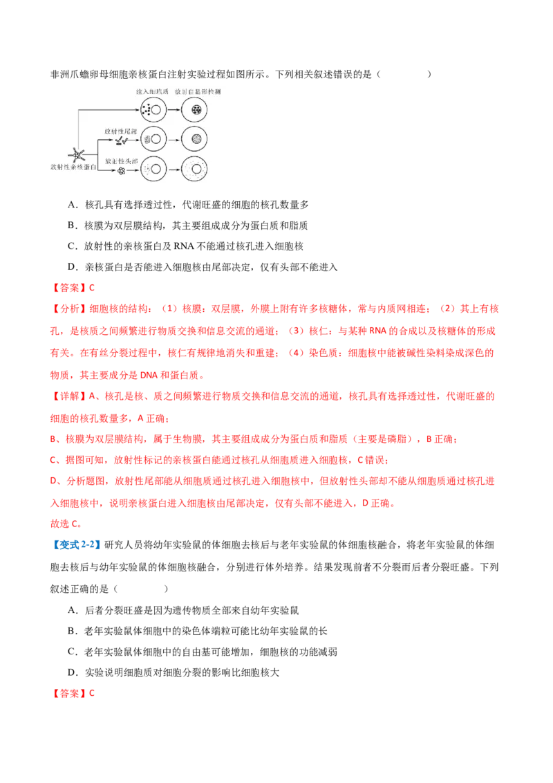 专题02细胞的基本结构（9大题型）（解析版）_2025年新高考资料_一轮复习_备战2025年高考生物一轮复习题型全覆盖（新高考通用）