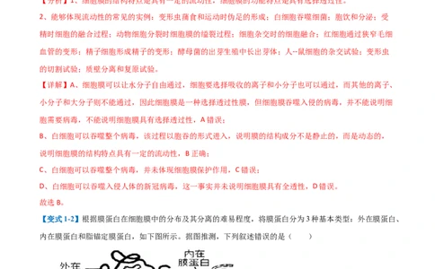 专题02细胞的基本结构（9大题型）（解析版）_2025年新高考资料_一轮复习_备战2025年高考生物一轮复习题型全覆盖（新高考通用）