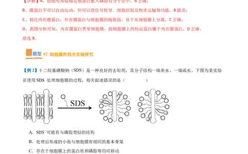 专题02细胞的基本结构（9大题型）（解析版）_2025年新高考资料_一轮复习_备战2025年高考生物一轮复习题型全覆盖（新高考通用）