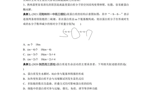 专题03蛋白质和核酸（串讲）（原卷版）_新高考复习资料_2024年新高考复习资料_一轮复习资料_完备战2024年高考生物一轮复习串讲精练（新高考专用）_串讲