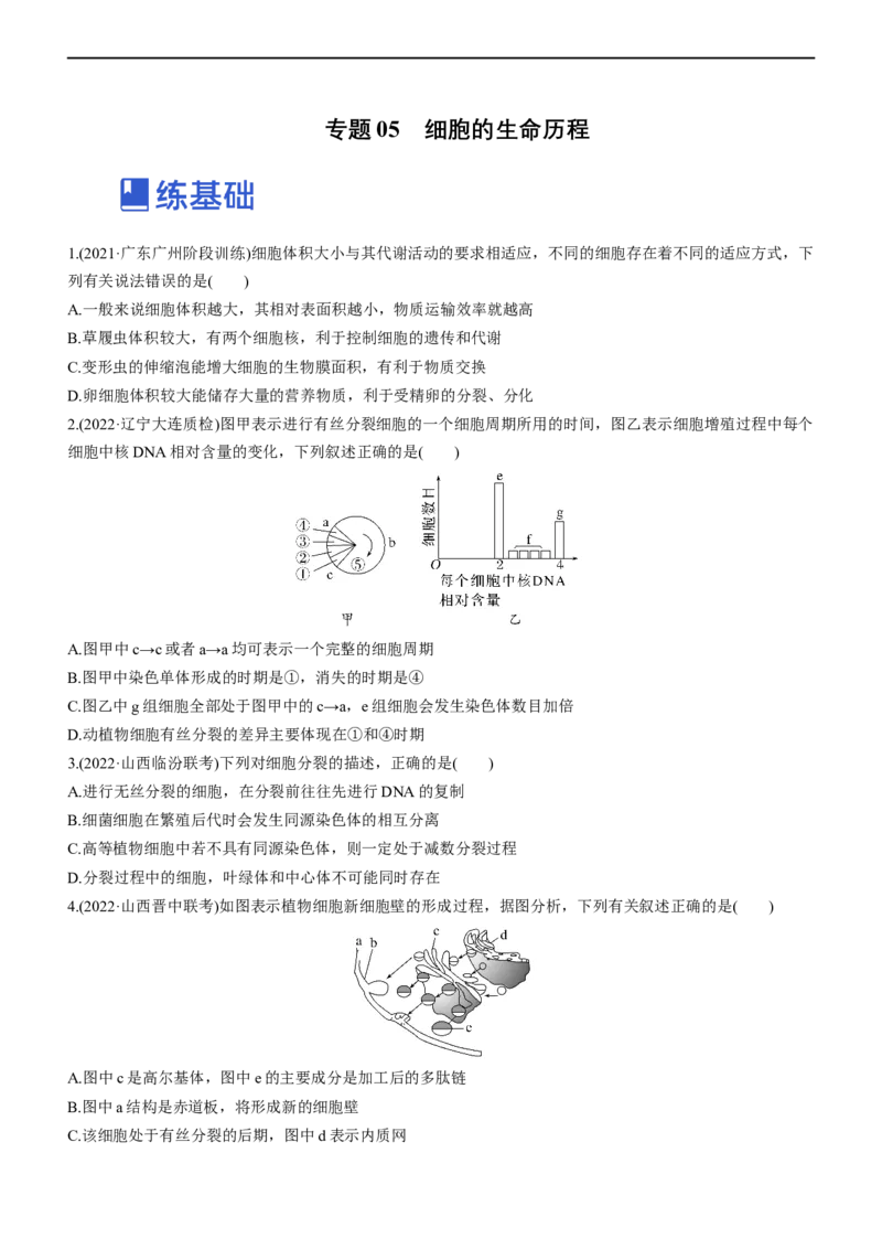 专题05细胞的生命历程（练）-2023年高考生物二轮复习讲练测（全国通用）（原卷版）_通用版（老高考）复习资料_2023年复习资料_二轮复习_2023年高考生物二轮复习讲练测（全国通用）