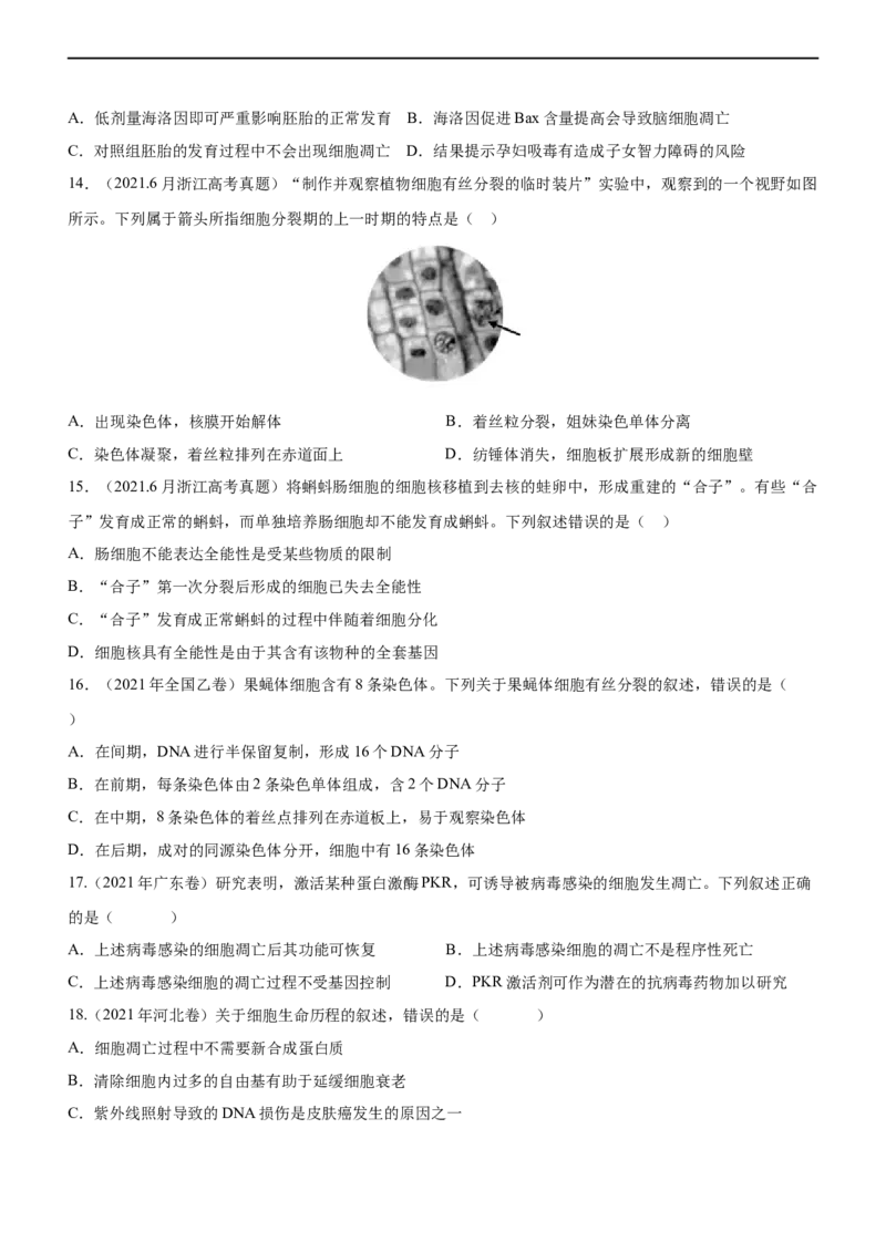 专题05细胞的生命历程（练）-2023年高考生物二轮复习讲练测（全国通用）（原卷版）_通用版（老高考）复习资料_2023年复习资料_二轮复习_2023年高考生物二轮复习讲练测（全国通用）