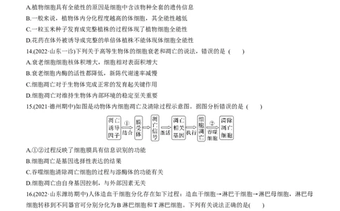 专题05细胞的生命历程（练）-2023年高考生物二轮复习讲练测（全国通用）（原卷版）_通用版（老高考）复习资料_2023年复习资料_二轮复习_2023年高考生物二轮复习讲练测（全国通用）