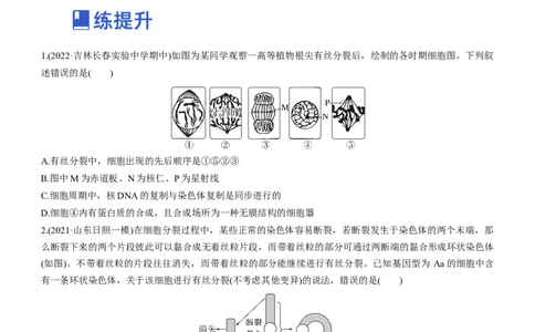 专题05细胞的生命历程（练）-2023年高考生物二轮复习讲练测（全国通用）（原卷版）_通用版（老高考）复习资料_2023年复习资料_二轮复习_2023年高考生物二轮复习讲练测（全国通用）