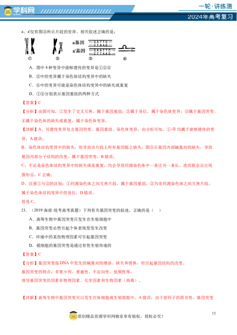 第七单元生物的变异与进化（测试）（解析版）_2024年新高考资料_1.2024一轮复习_2024年高考生物一轮复习讲练测（新教材新高考）