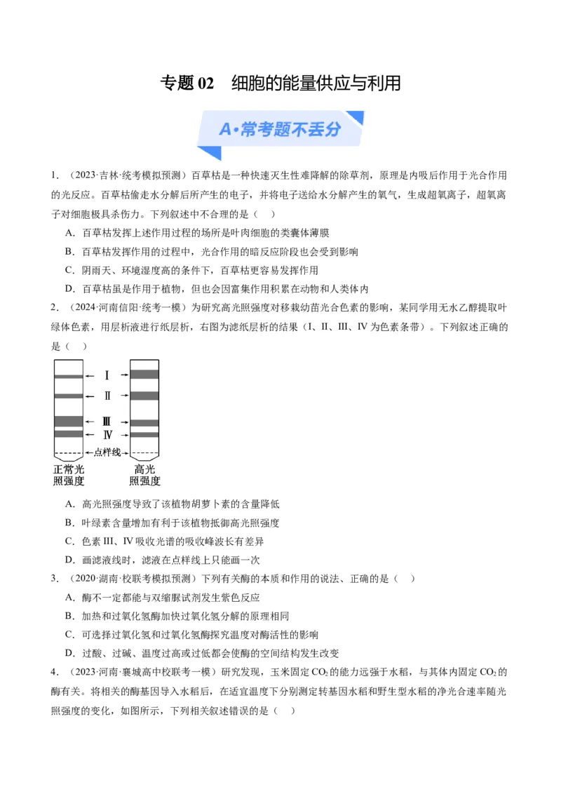 专题02细胞的能量供应与利用（分层练）（原卷版）_新高考复习资料_2024年新高考复习资料_二轮复习资料_高频考点解密2024年高考生物二轮复习高频考点追踪与预测（新高考专用）