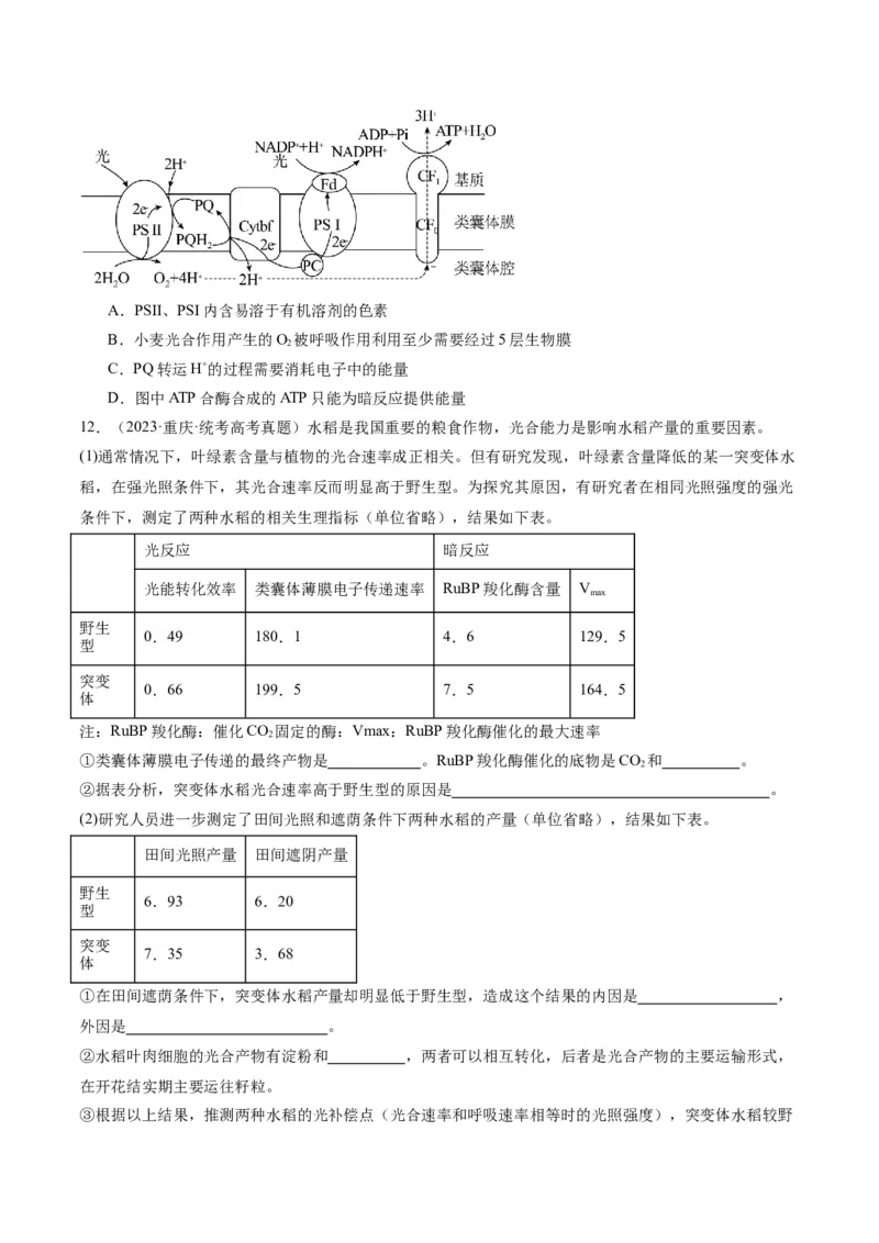 专题02细胞的能量供应与利用（分层练）（原卷版）_新高考复习资料_2024年新高考复习资料_二轮复习资料_高频考点解密2024年高考生物二轮复习高频考点追踪与预测（新高考专用）