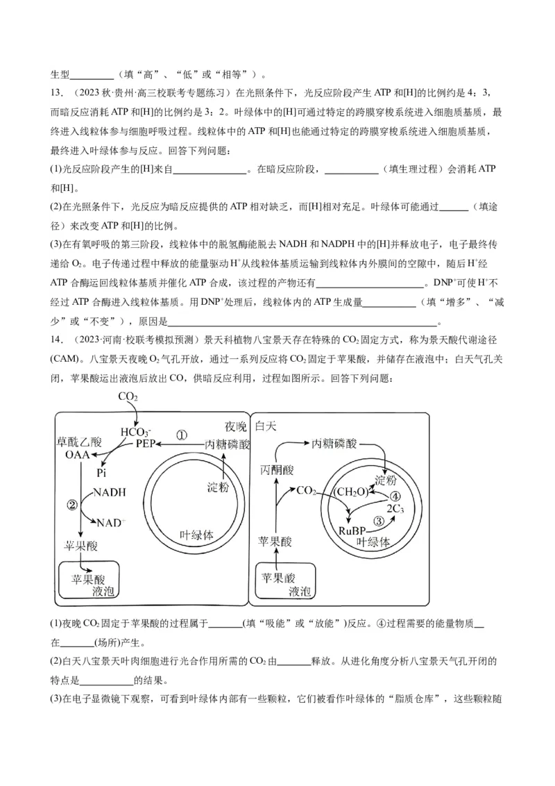 专题02细胞的能量供应与利用（分层练）（原卷版）_新高考复习资料_2024年新高考复习资料_二轮复习资料_高频考点解密2024年高考生物二轮复习高频考点追踪与预测（新高考专用）