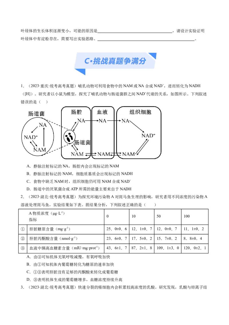 专题02细胞的能量供应与利用（分层练）（原卷版）_新高考复习资料_2024年新高考复习资料_二轮复习资料_高频考点解密2024年高考生物二轮复习高频考点追踪与预测（新高考专用）