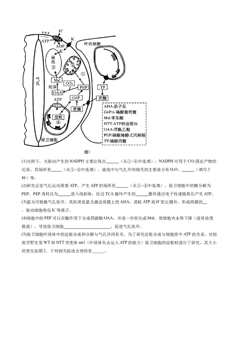 专题02细胞的能量供应与利用（分层练）（原卷版）_新高考复习资料_2024年新高考复习资料_二轮复习资料_高频考点解密2024年高考生物二轮复习高频考点追踪与预测（新高考专用）