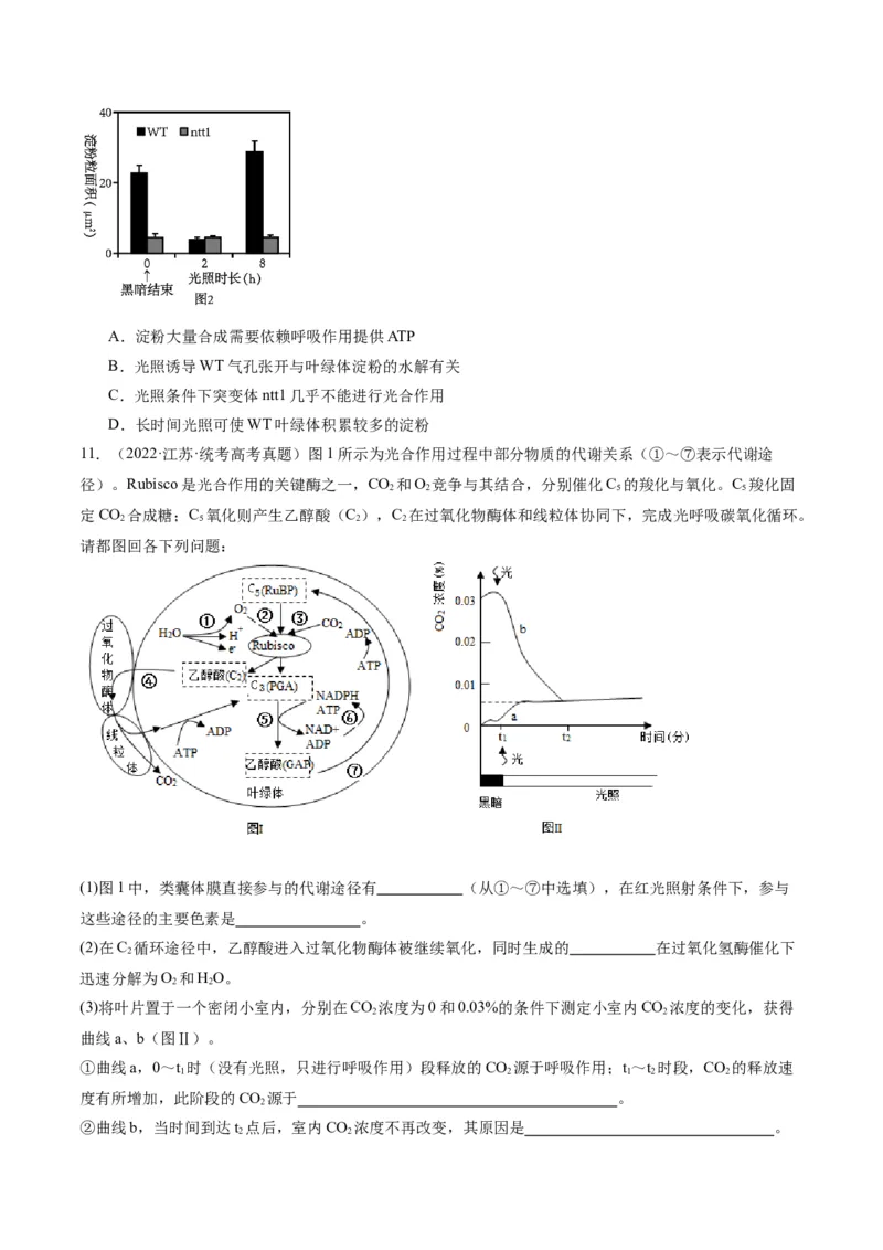 专题02细胞的能量供应与利用（分层练）（原卷版）_新高考复习资料_2024年新高考复习资料_二轮复习资料_高频考点解密2024年高考生物二轮复习高频考点追踪与预测（新高考专用）