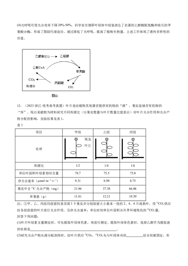 专题02细胞的能量供应与利用（分层练）（原卷版）_新高考复习资料_2024年新高考复习资料_二轮复习资料_高频考点解密2024年高考生物二轮复习高频考点追踪与预测（新高考专用）