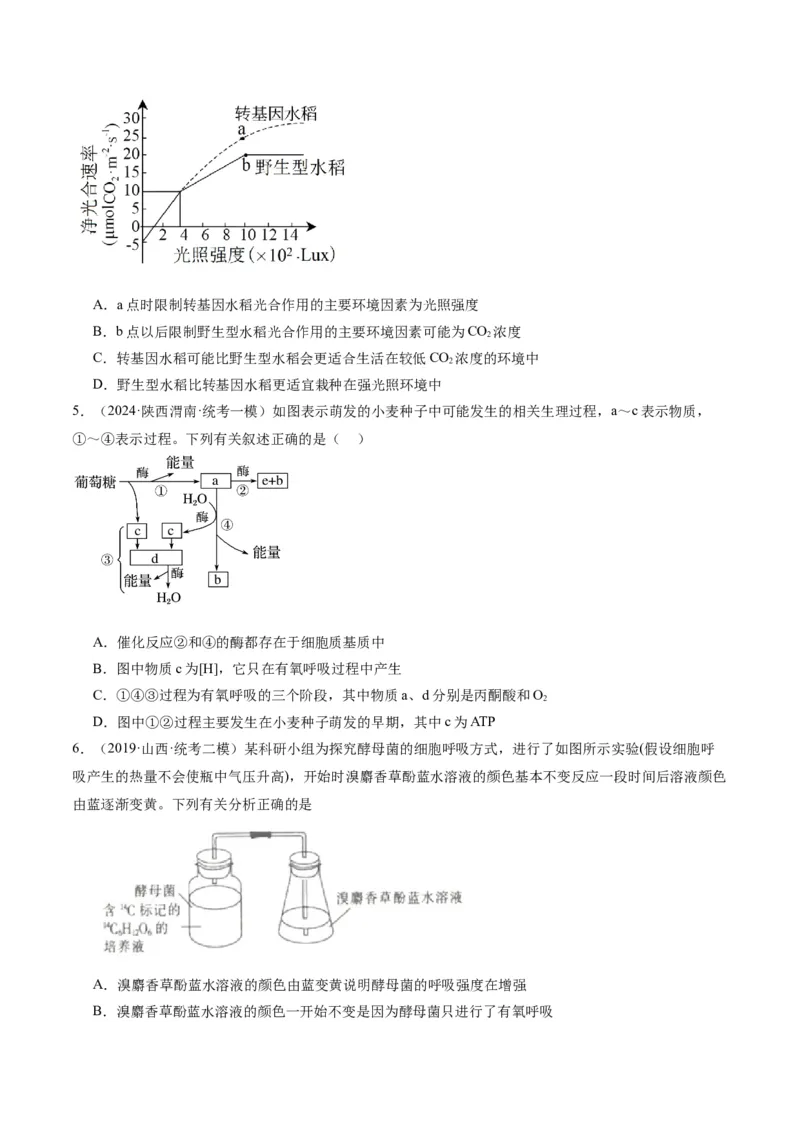 专题02细胞的能量供应与利用（分层练）（原卷版）_新高考复习资料_2024年新高考复习资料_二轮复习资料_高频考点解密2024年高考生物二轮复习高频考点追踪与预测（新高考专用）