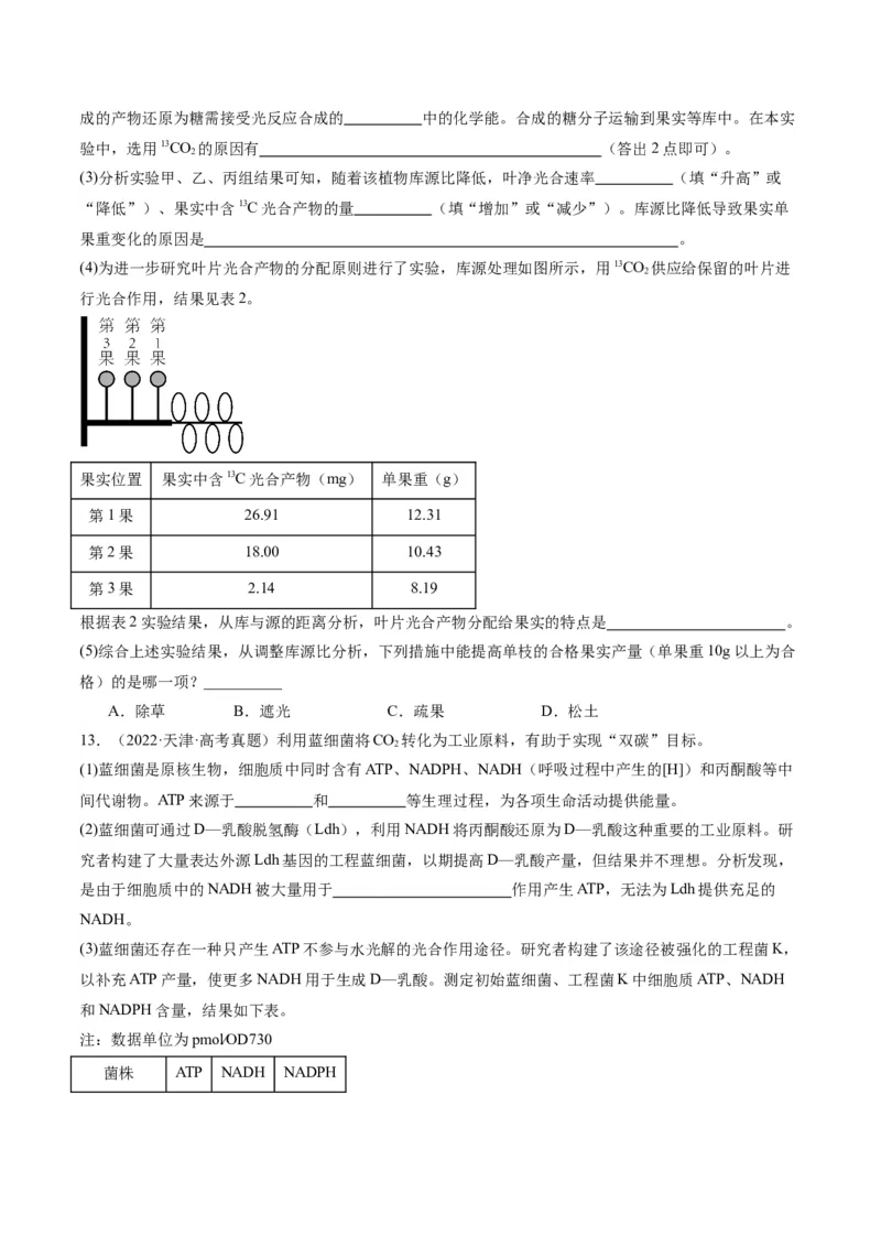 专题02细胞的能量供应与利用（分层练）（原卷版）_新高考复习资料_2024年新高考复习资料_二轮复习资料_高频考点解密2024年高考生物二轮复习高频考点追踪与预测（新高考专用）
