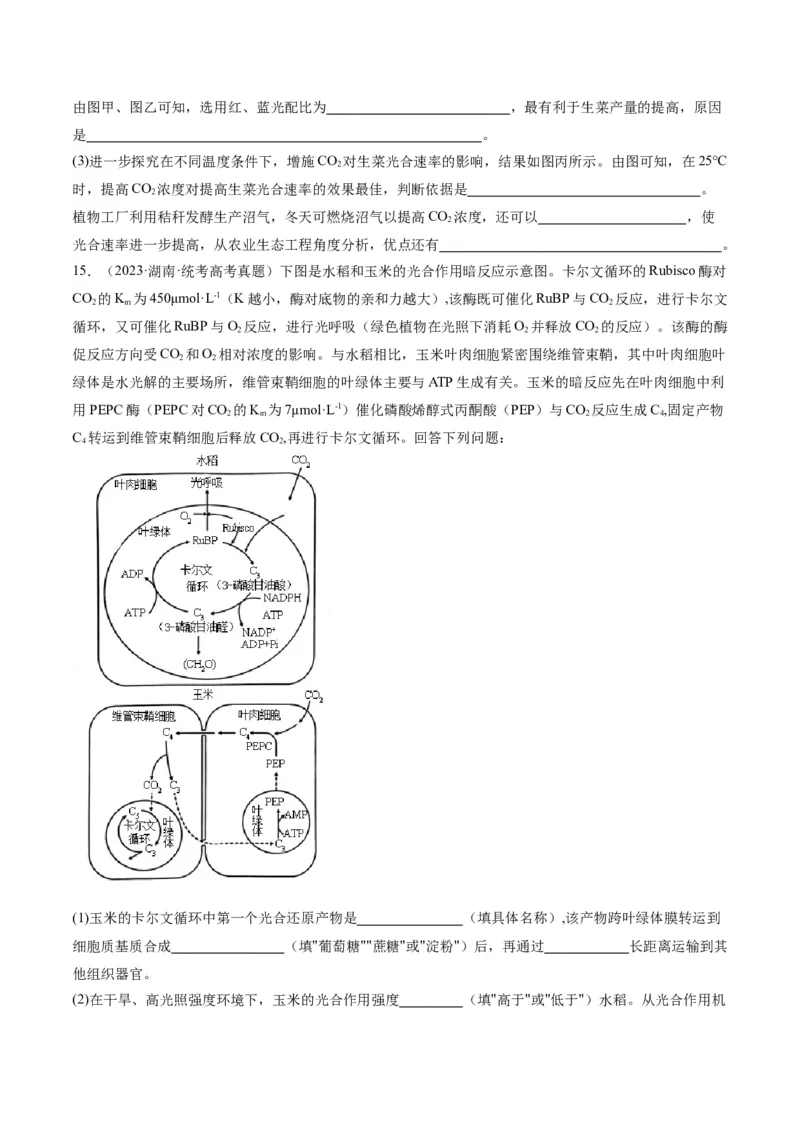 专题02细胞的能量供应与利用（分层练）（原卷版）_新高考复习资料_2024年新高考复习资料_二轮复习资料_高频考点解密2024年高考生物二轮复习高频考点追踪与预测（新高考专用）