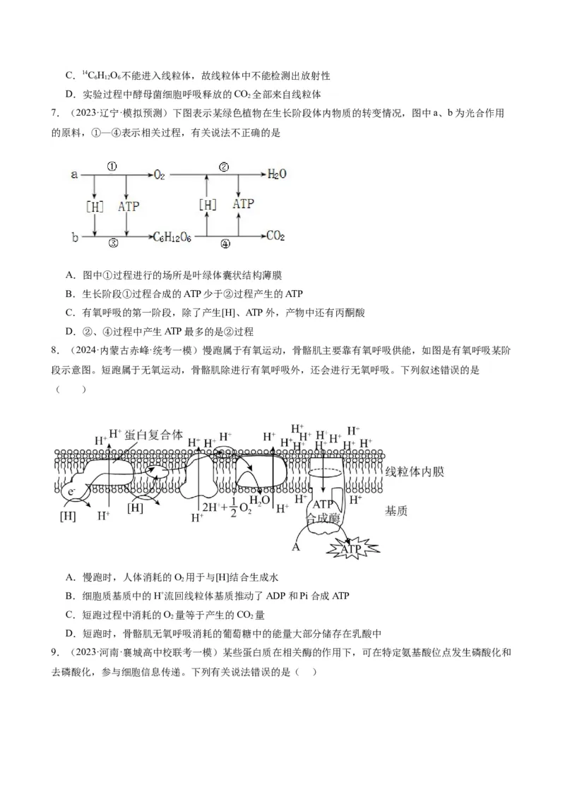专题02细胞的能量供应与利用（分层练）（原卷版）_新高考复习资料_2024年新高考复习资料_二轮复习资料_高频考点解密2024年高考生物二轮复习高频考点追踪与预测（新高考专用）