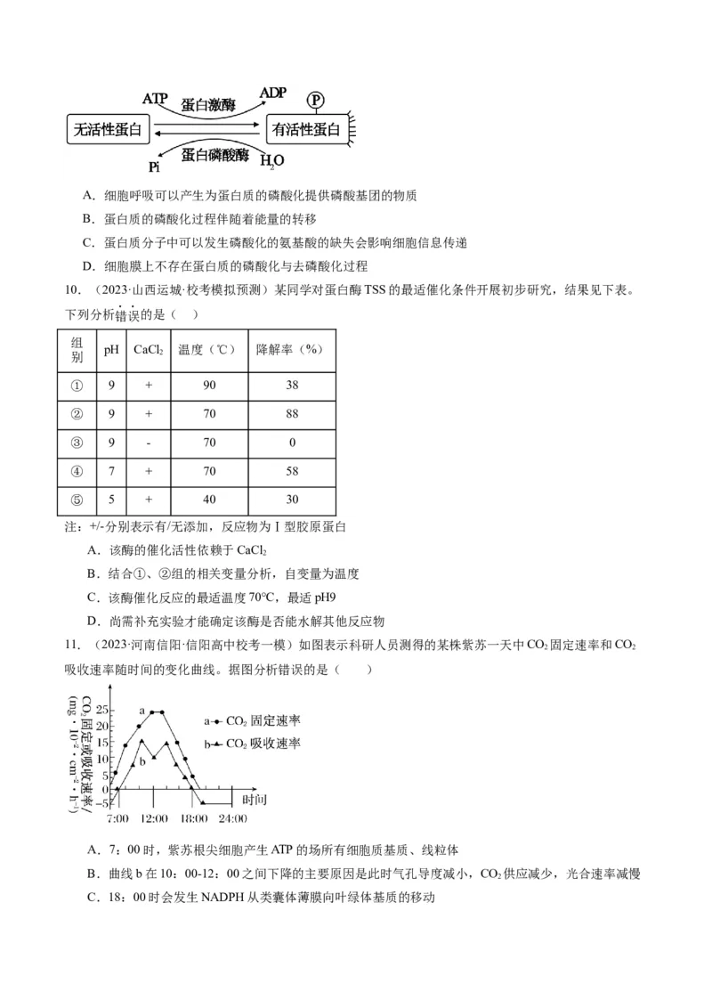 专题02细胞的能量供应与利用（分层练）（原卷版）_新高考复习资料_2024年新高考复习资料_二轮复习资料_高频考点解密2024年高考生物二轮复习高频考点追踪与预测（新高考专用）