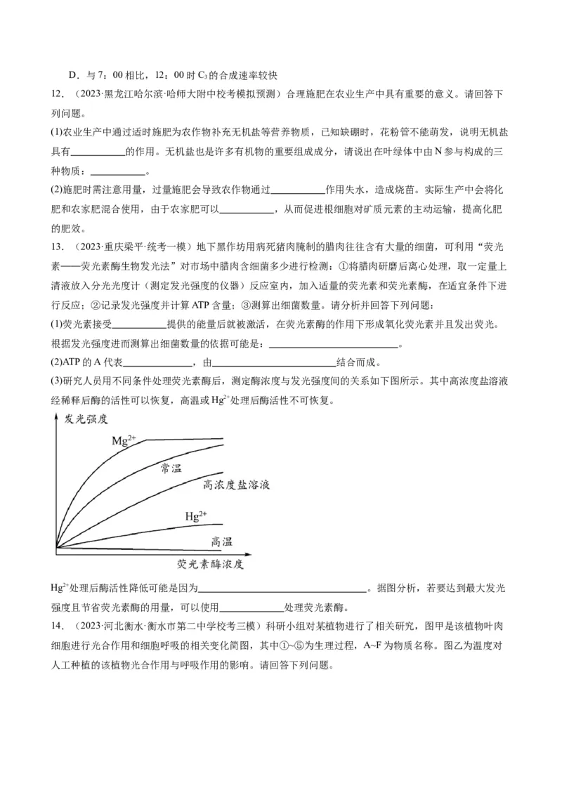 专题02细胞的能量供应与利用（分层练）（原卷版）_新高考复习资料_2024年新高考复习资料_二轮复习资料_高频考点解密2024年高考生物二轮复习高频考点追踪与预测（新高考专用）
