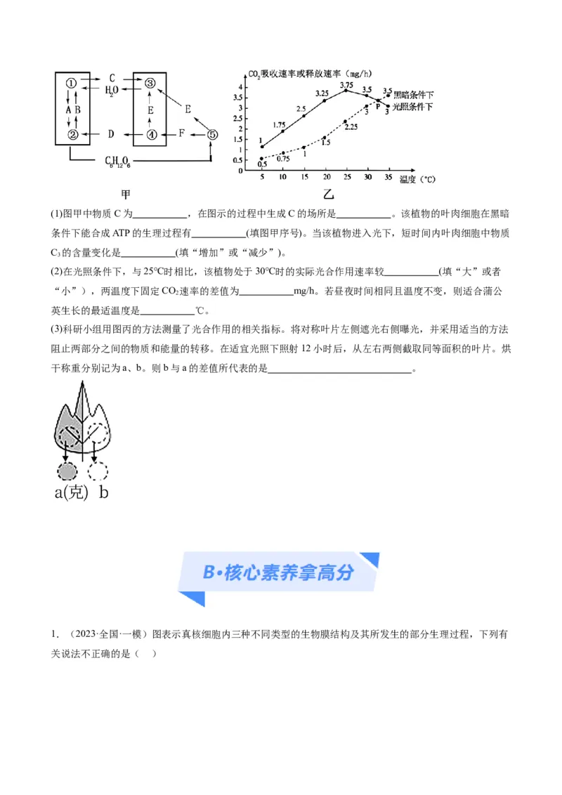 专题02细胞的能量供应与利用（分层练）（原卷版）_新高考复习资料_2024年新高考复习资料_二轮复习资料_高频考点解密2024年高考生物二轮复习高频考点追踪与预测（新高考专用）