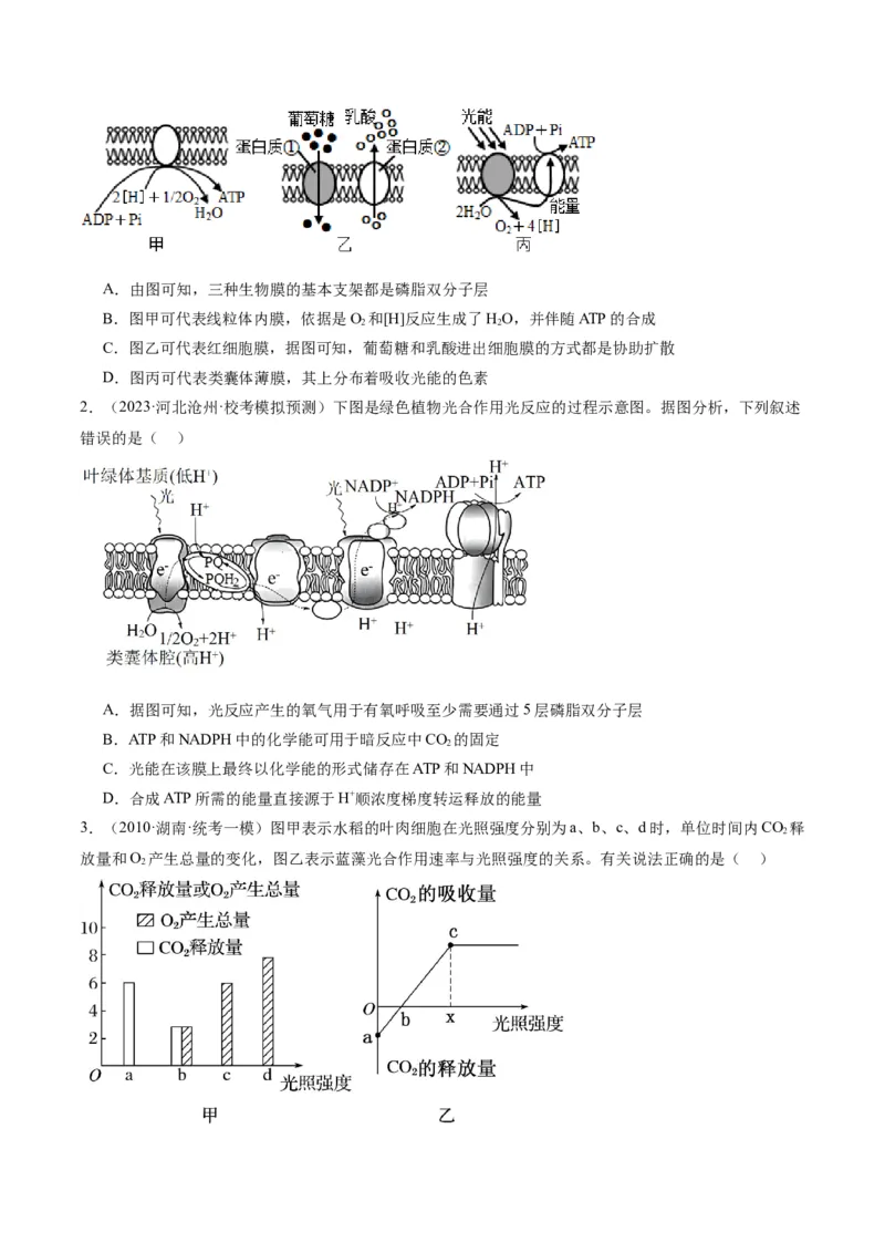 专题02细胞的能量供应与利用（分层练）（原卷版）_新高考复习资料_2024年新高考复习资料_二轮复习资料_高频考点解密2024年高考生物二轮复习高频考点追踪与预测（新高考专用）