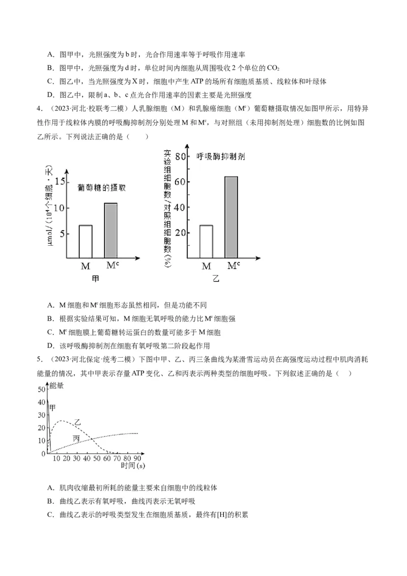 专题02细胞的能量供应与利用（分层练）（原卷版）_新高考复习资料_2024年新高考复习资料_二轮复习资料_高频考点解密2024年高考生物二轮复习高频考点追踪与预测（新高考专用）
